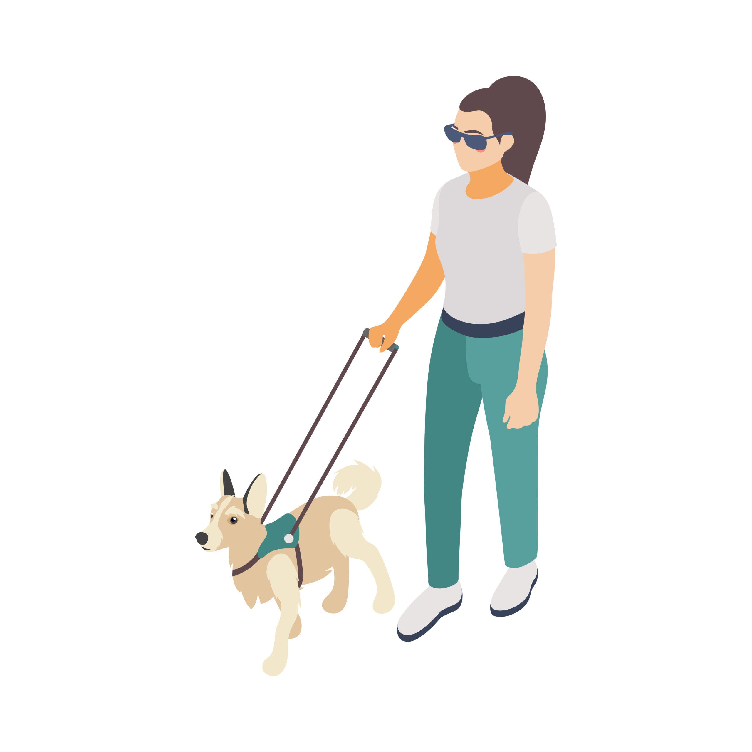 Bild einer Isometrische blinden jungen Frau, die mit Blindenhund geht